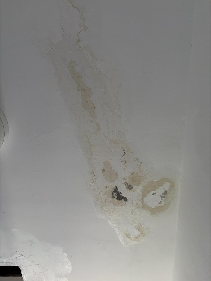 屋頂防水案件圖片