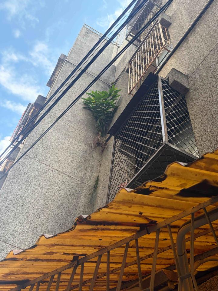 園藝維護案件圖片