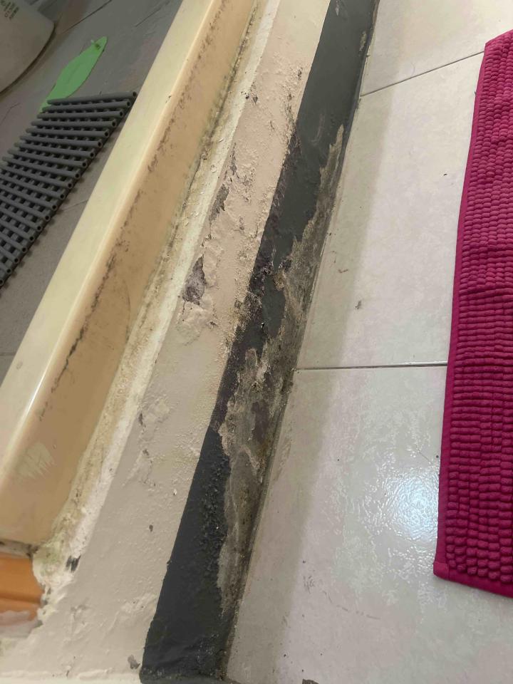 壁癌處理案件圖片