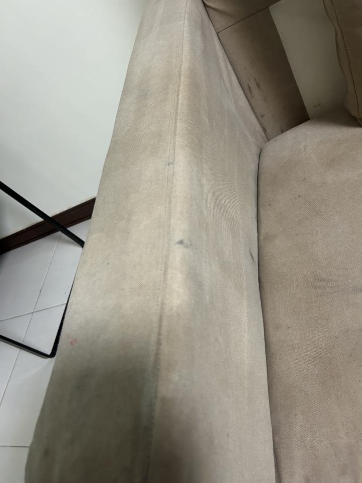 沙發清潔案件圖片