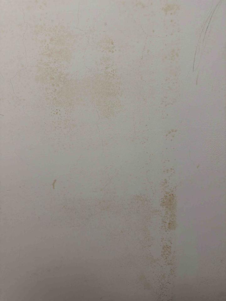 油漆工程案件圖片