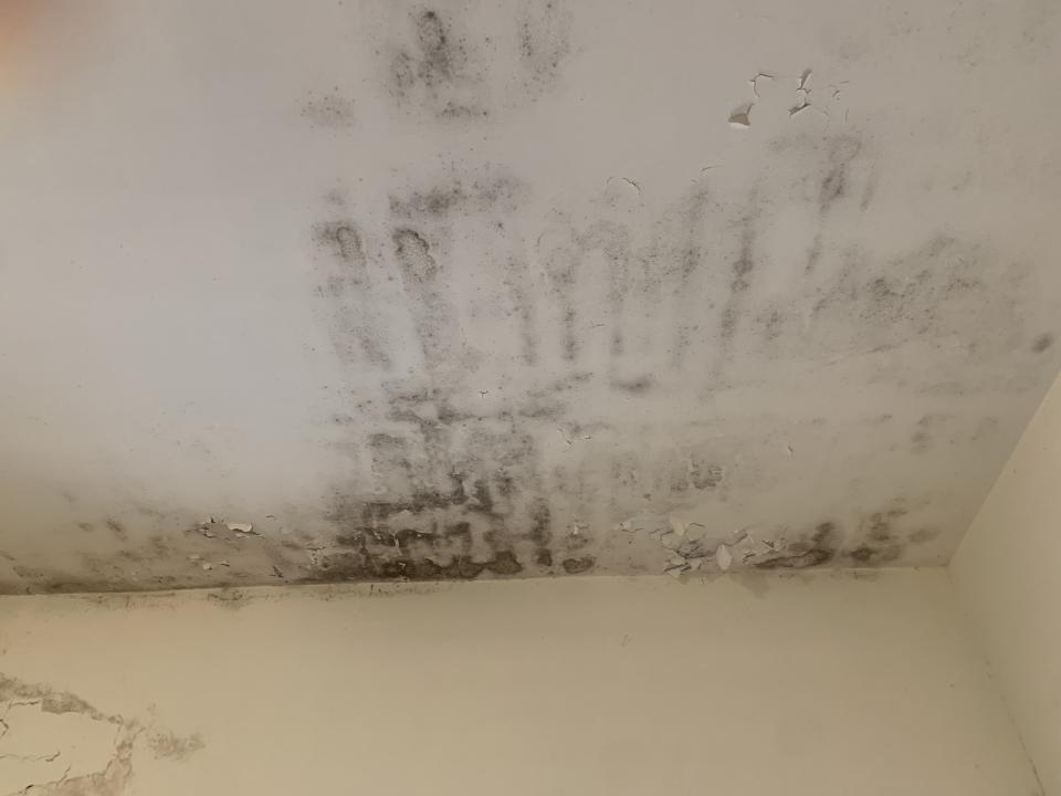 屋頂防水案件圖片