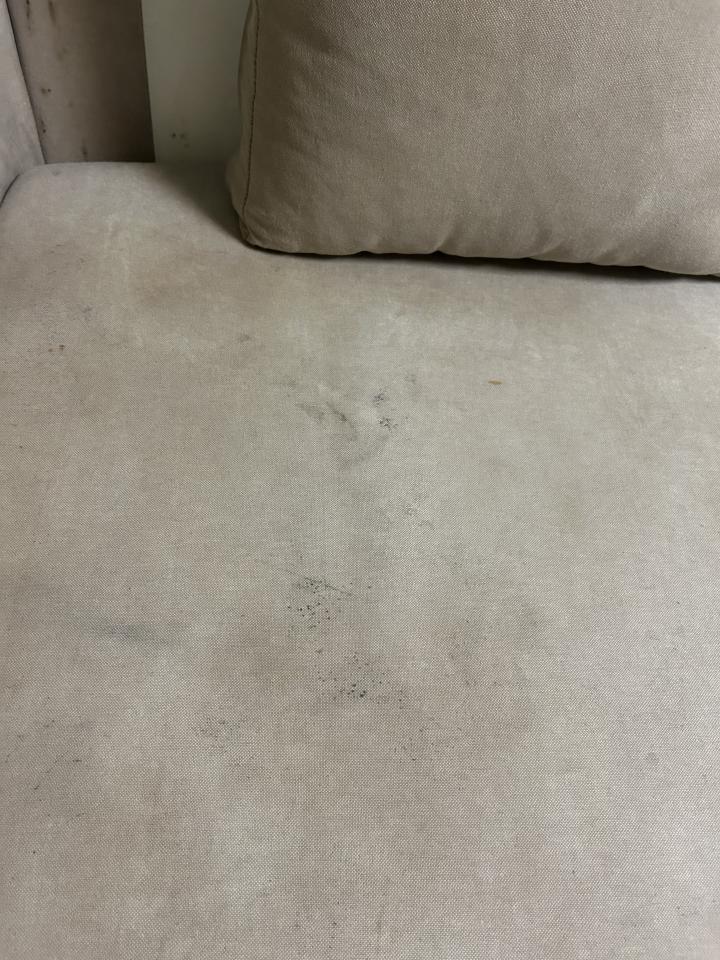 沙發清潔案件圖片