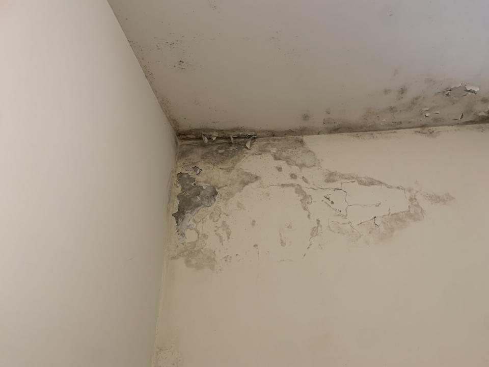 屋頂防水案件圖片