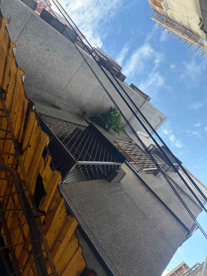 園藝維護案件圖片