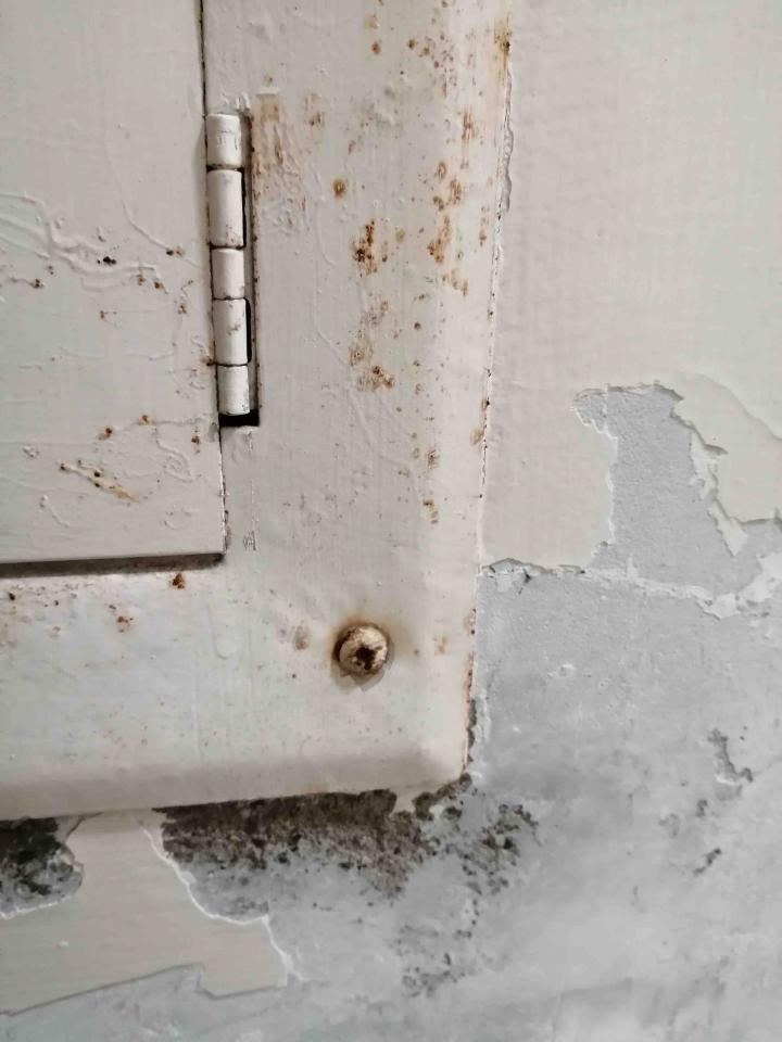 老屋翻新案件圖片