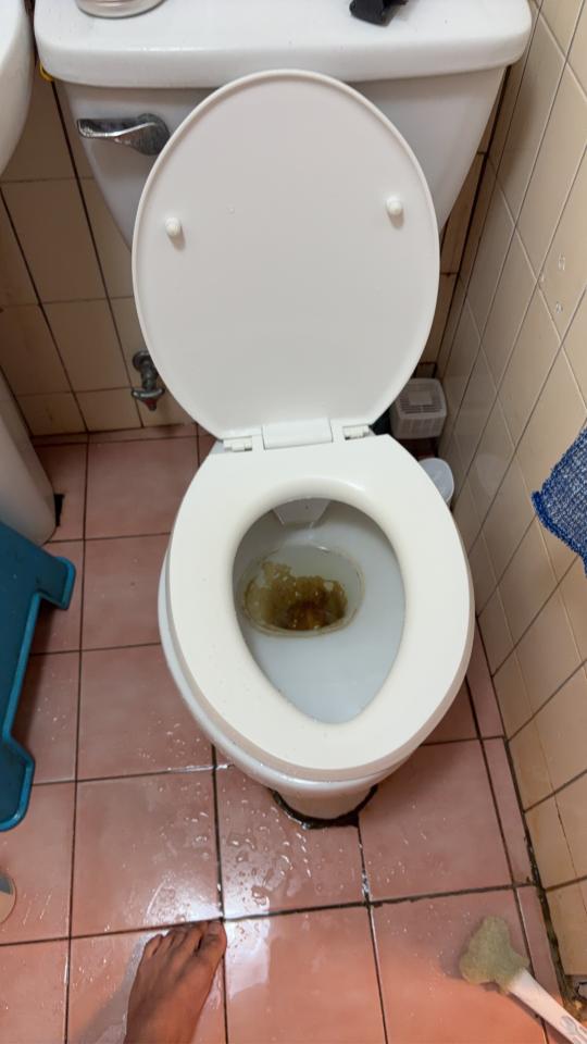 馬桶裝修案件圖片