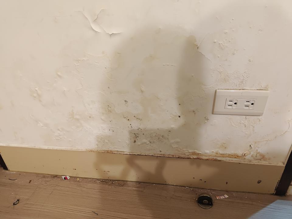 抓漏案件圖片