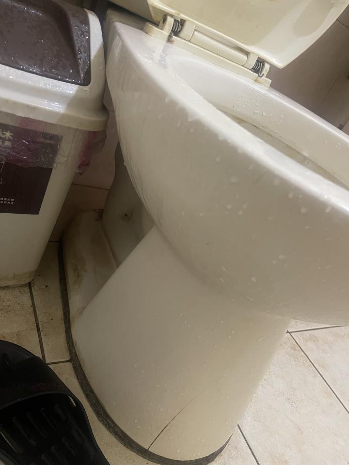 馬桶裝修案件圖片