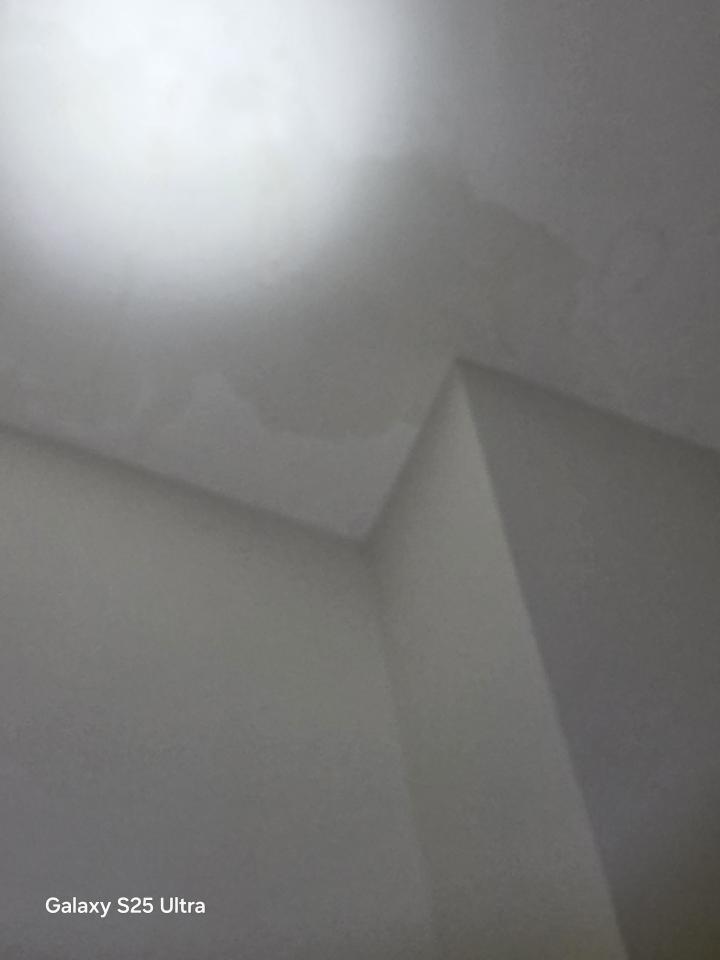 抓漏案件圖片