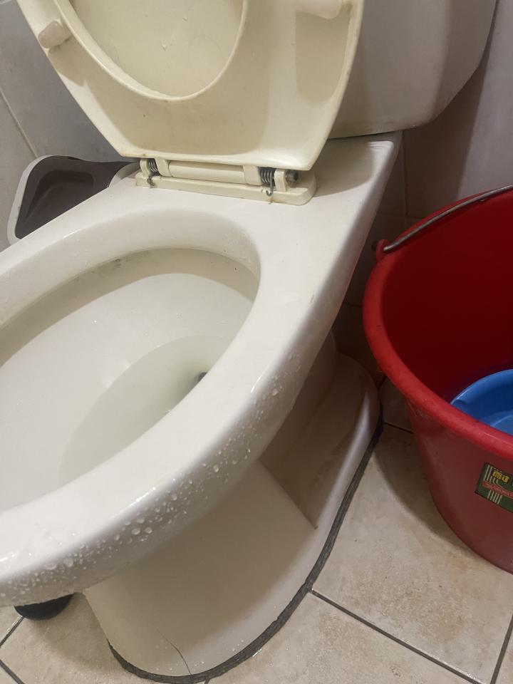 馬桶裝修案件圖片
