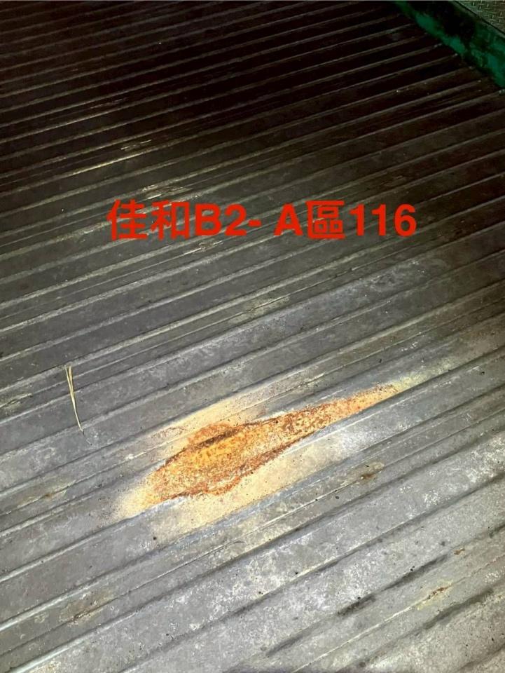 油漆工程案件圖片