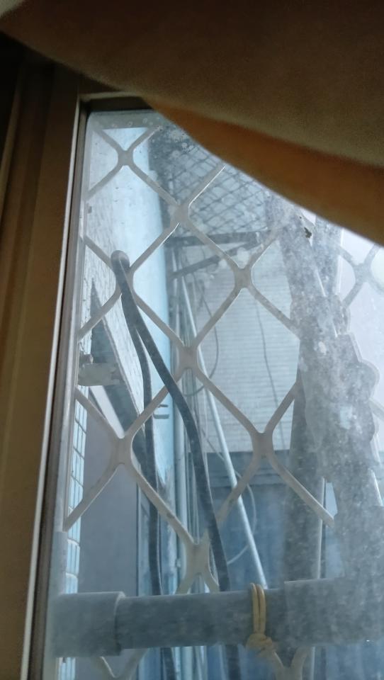 抓漏案件圖片