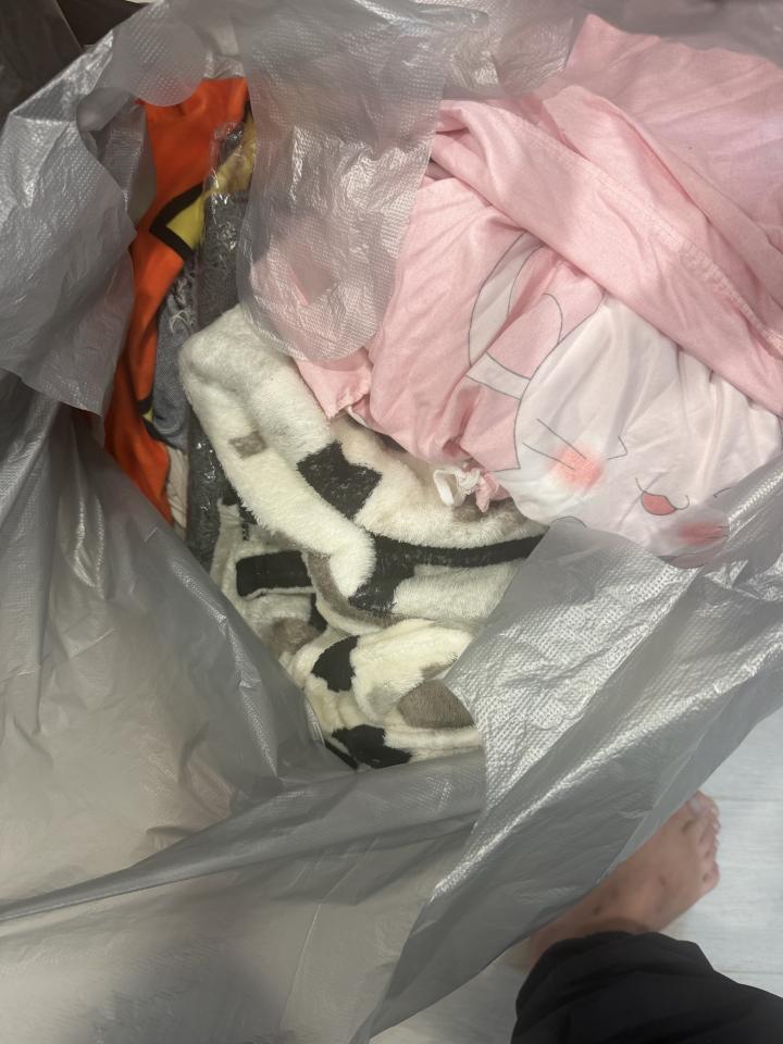 大型垃圾回收案件圖片