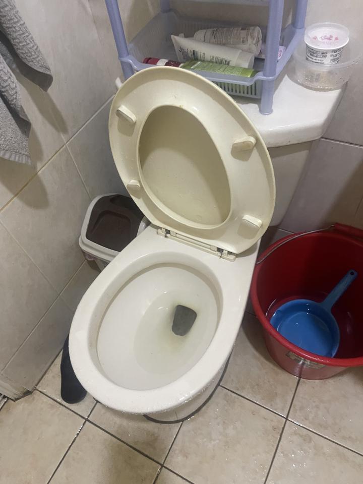 馬桶裝修案件圖片