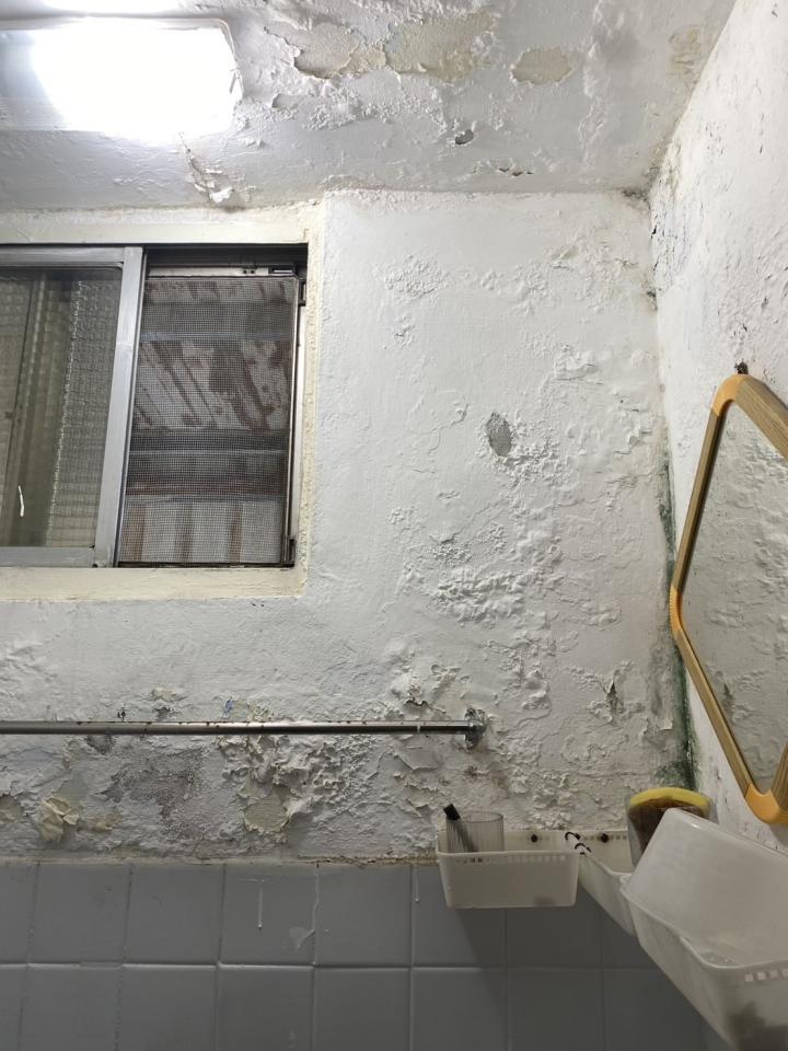 抓漏案件圖片