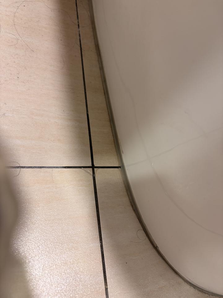 馬桶裝修案件圖片