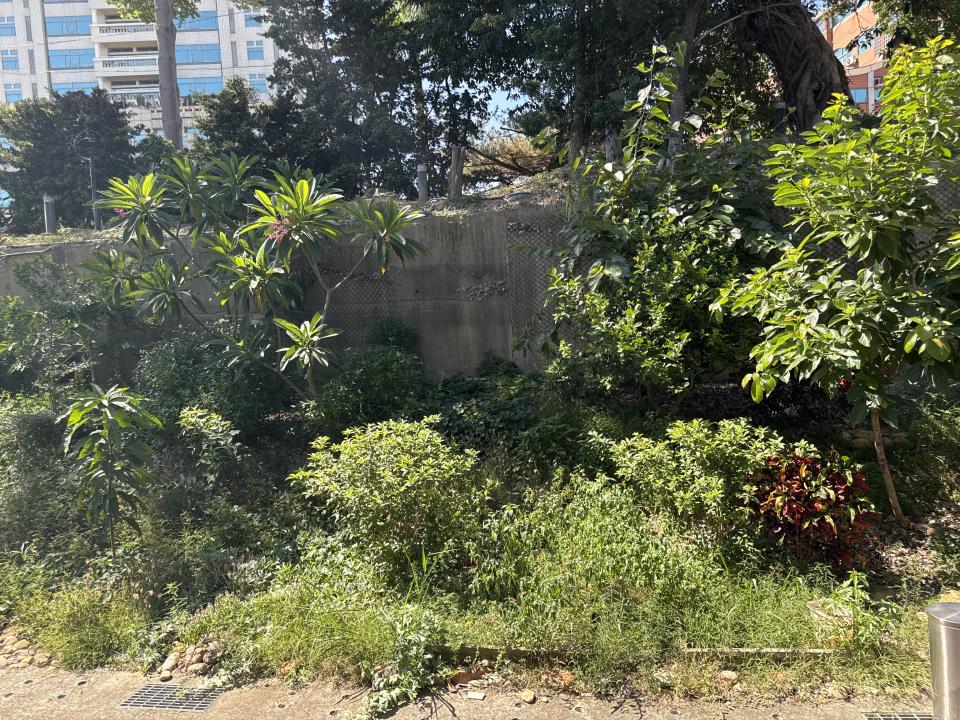 園藝維護案件圖片