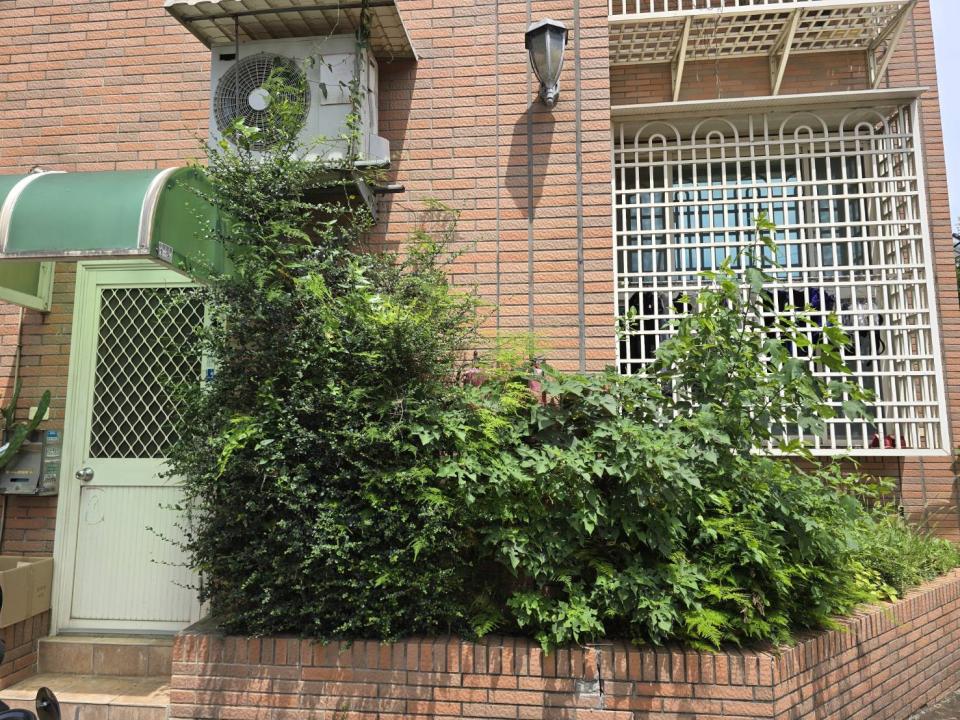 園藝維護案件圖片