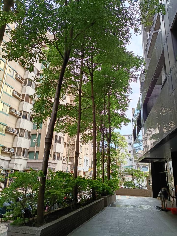 園藝維護案件圖片