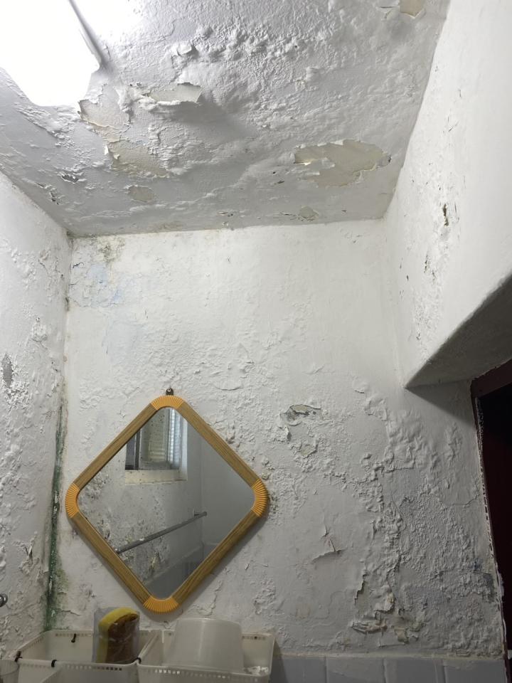 抓漏案件圖片