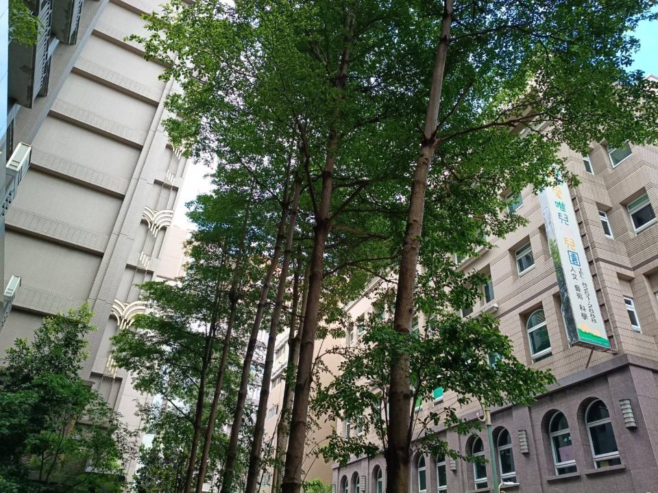 園藝維護案件圖片