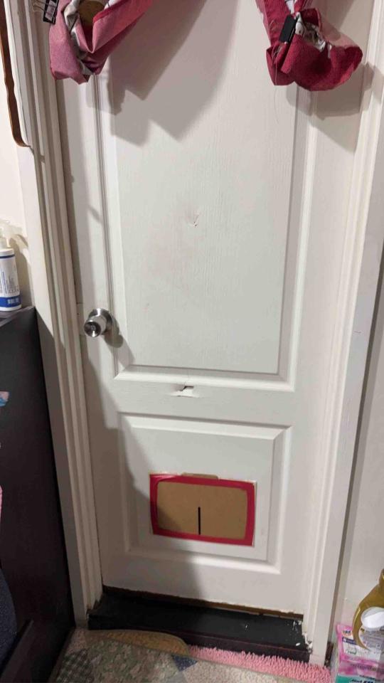 門片安裝案件圖片