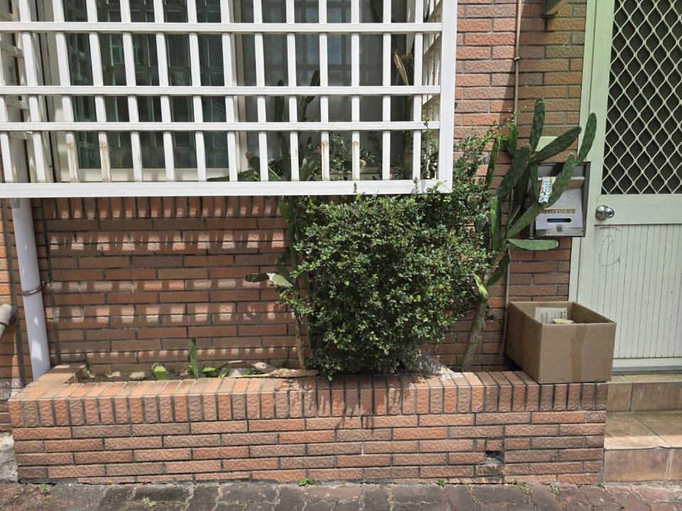 園藝維護案件圖片