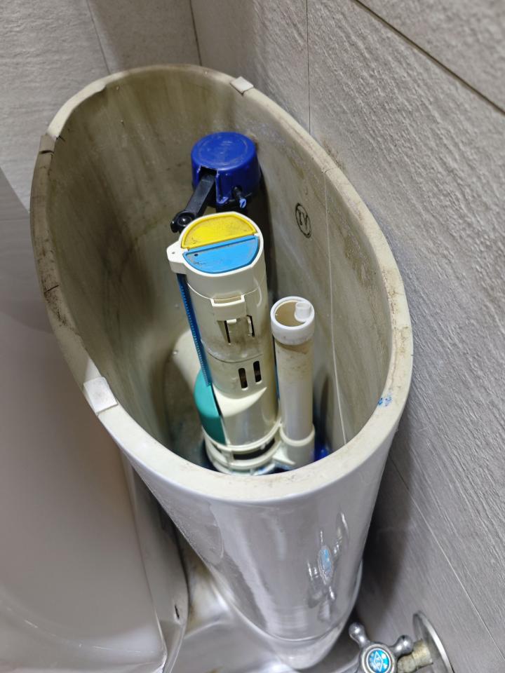馬桶裝修案件圖片