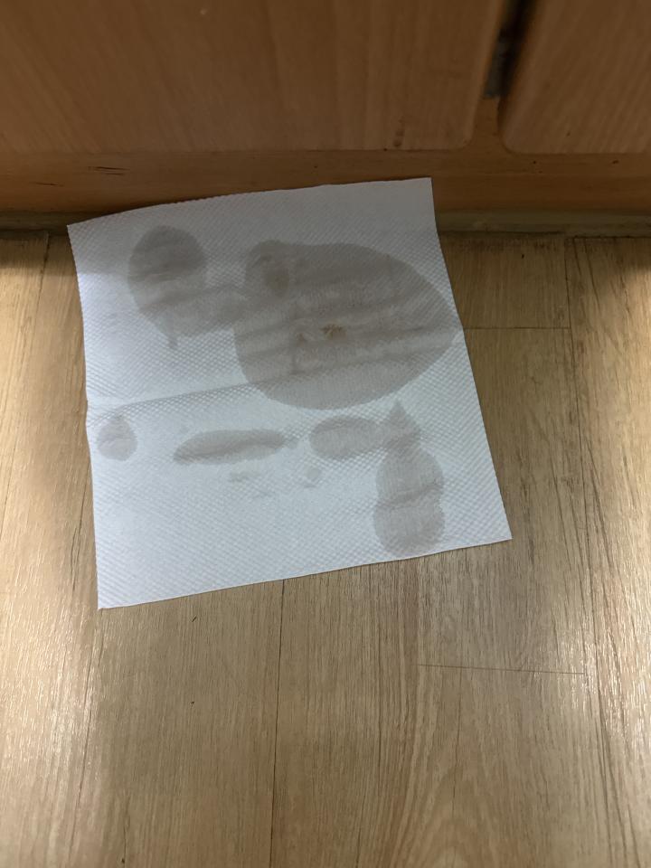 漏水處理案件圖片
