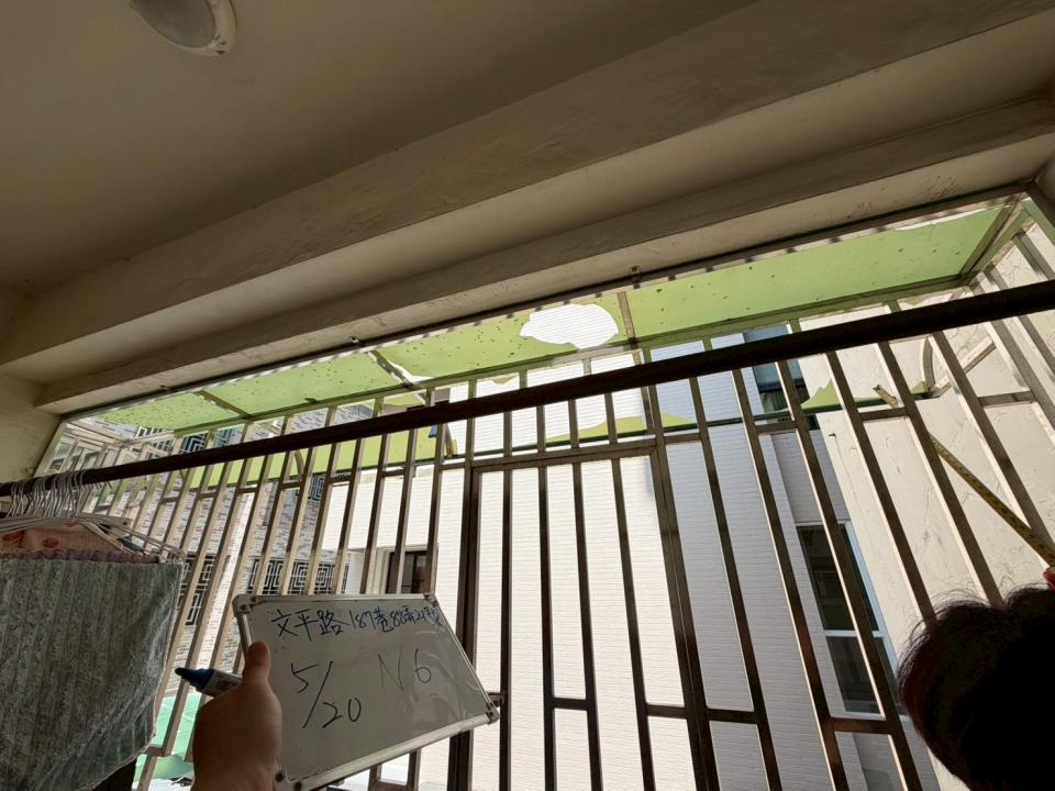 採光罩案件圖片