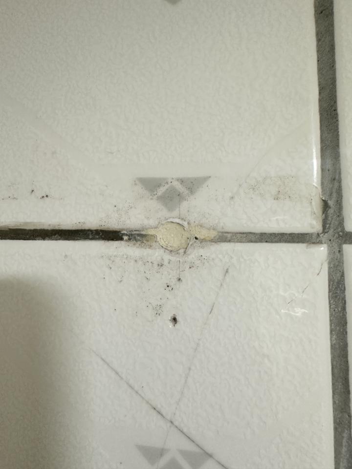 矽利康工程案件圖片