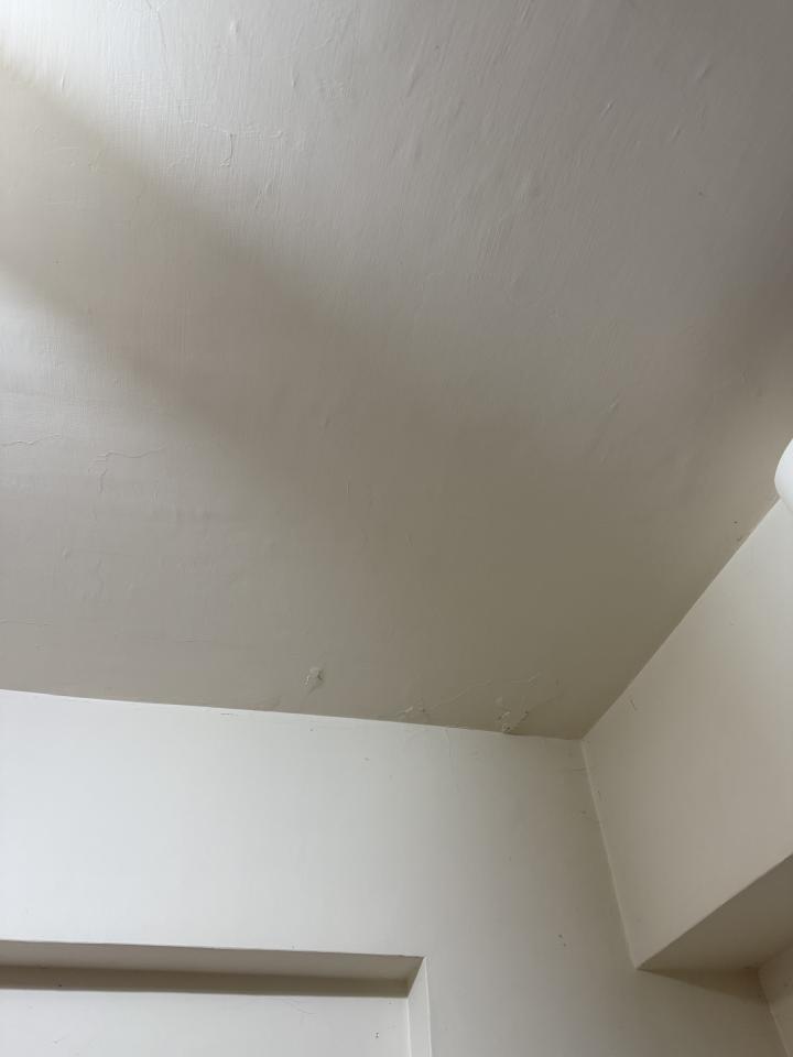 抓漏案件圖片