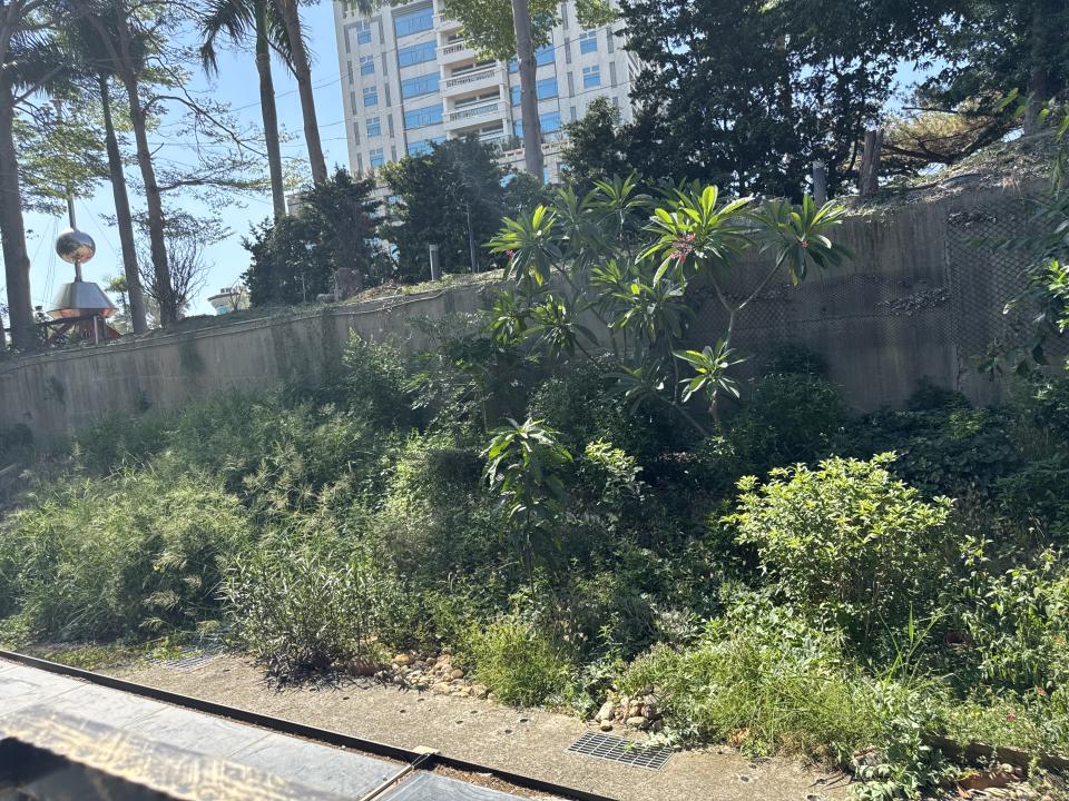 園藝維護案件圖片