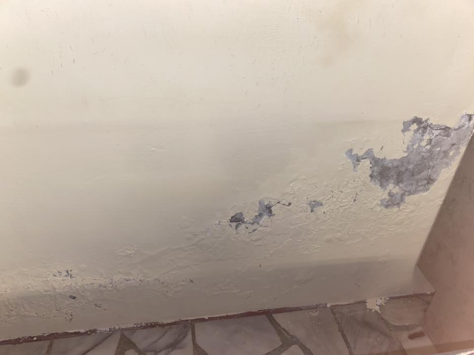 抓漏案件圖片
