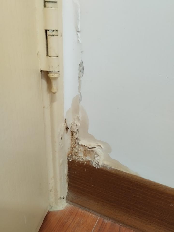 壁癌處理案件圖片