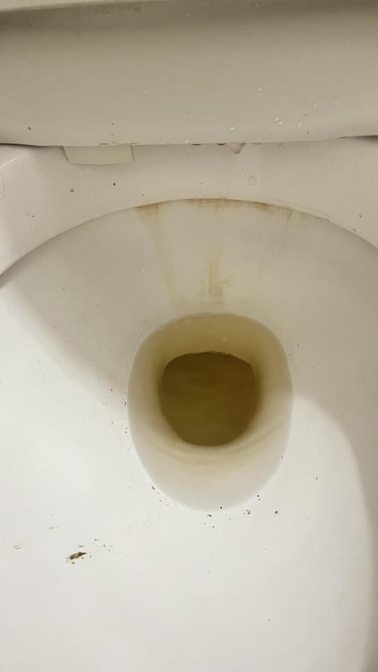 馬桶裝修案件圖片