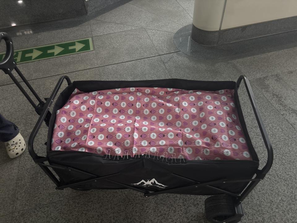 載貨運輸服務案件圖片