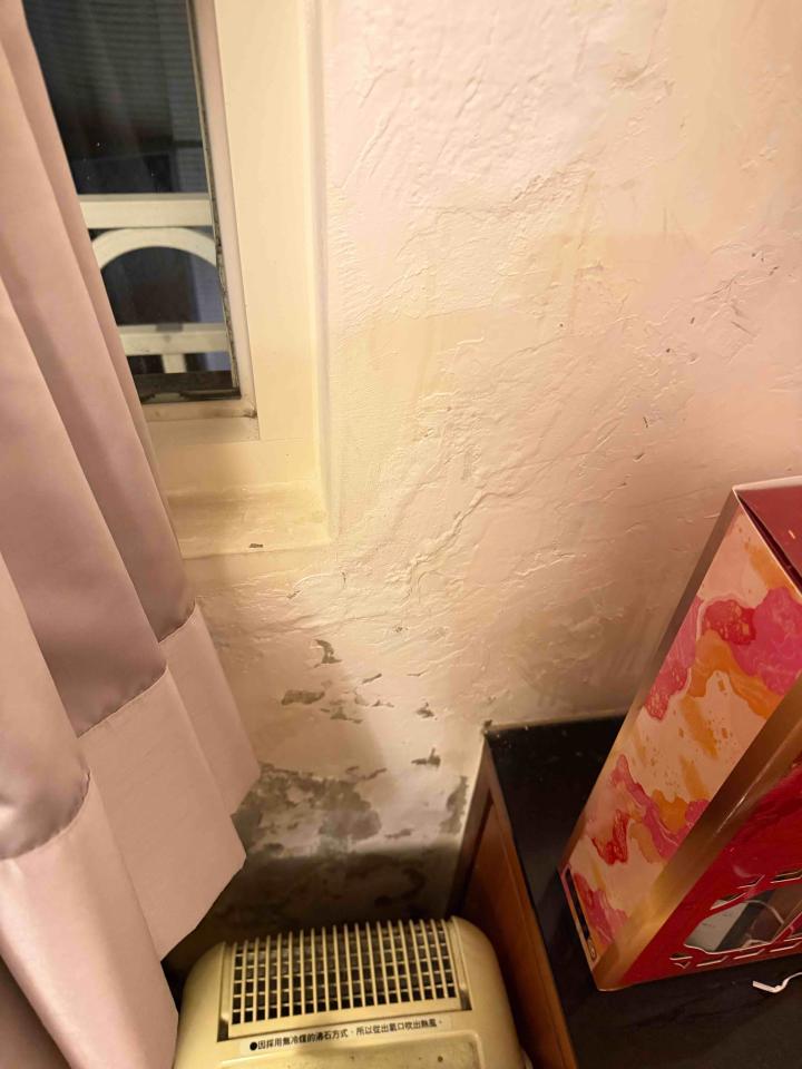 壁癌處理案件圖片