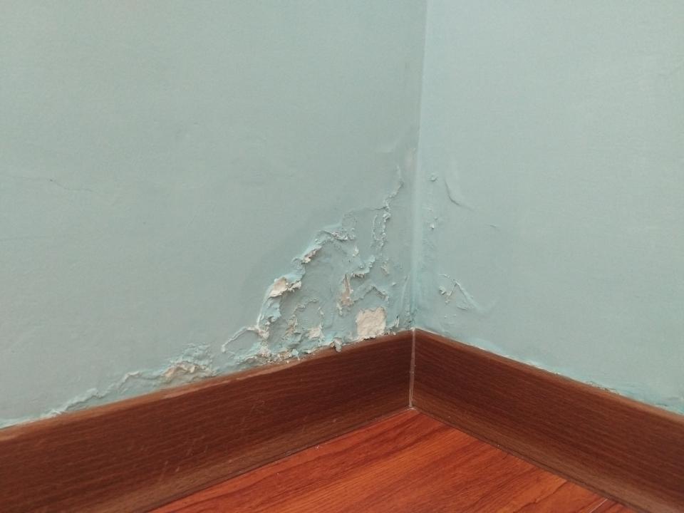壁癌處理案件圖片