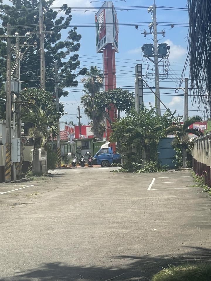 園藝維護案件圖片