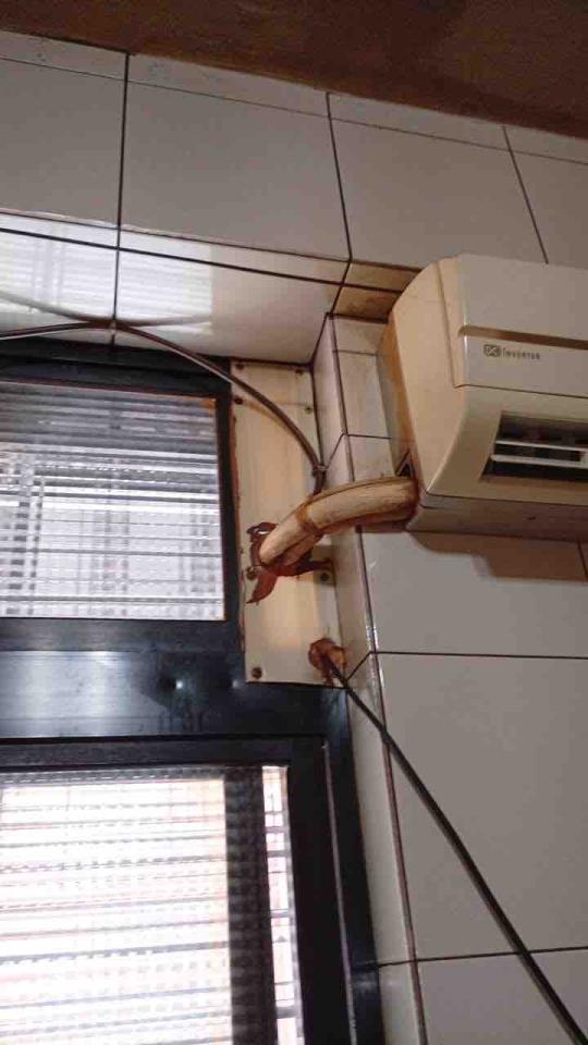 電線裝修案件圖片