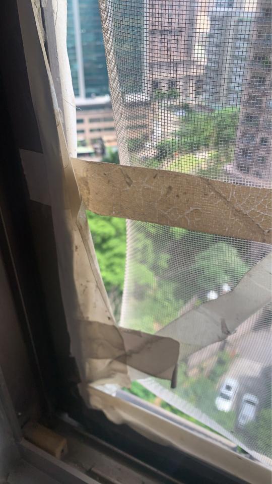 紗窗裝修案件圖片
