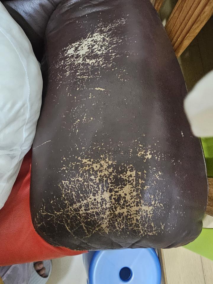 沙發修理案件圖片