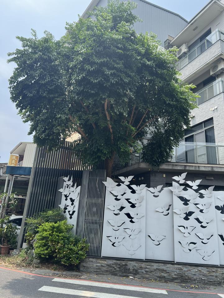 園藝維護案件圖片