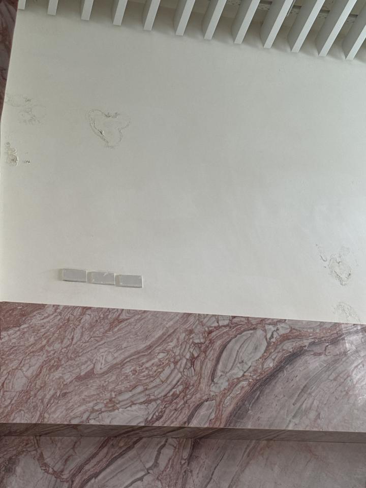 抓漏案件圖片