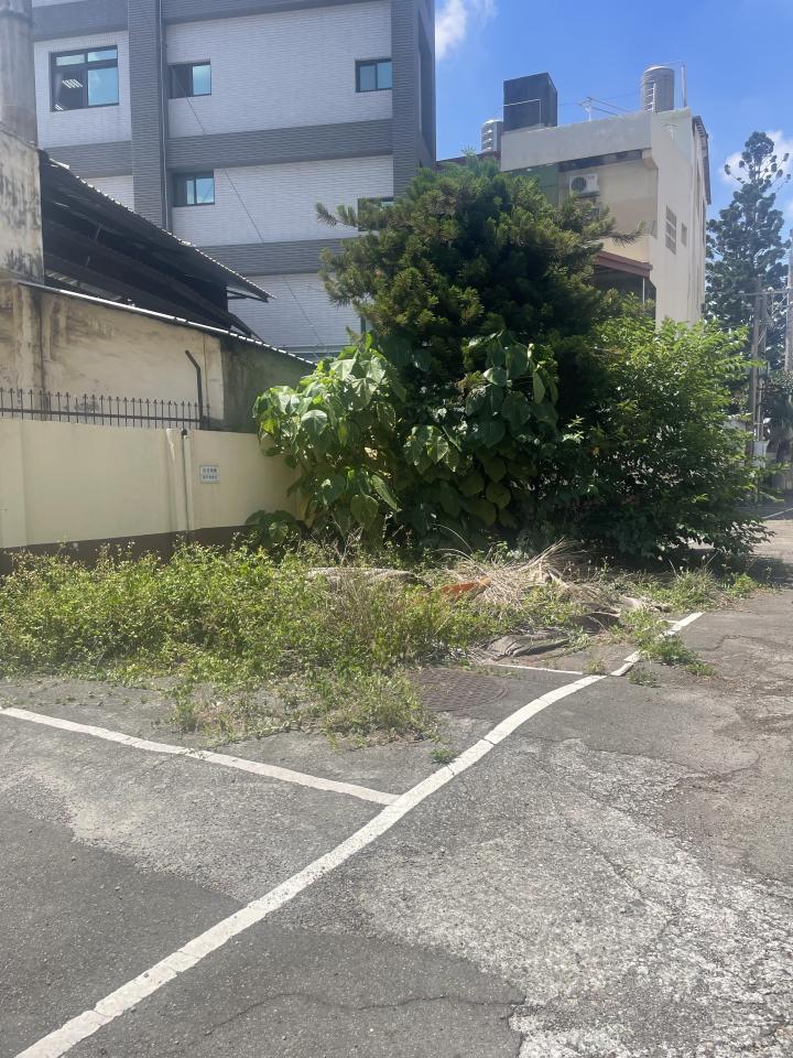 園藝維護案件圖片