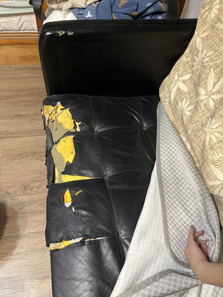 沙發修理案件圖片