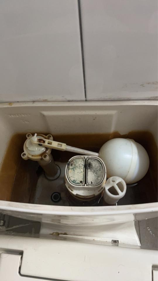 馬桶裝修案件圖片