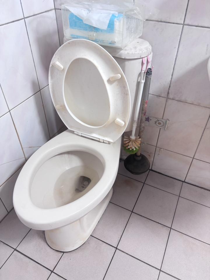 馬桶裝修案件圖片